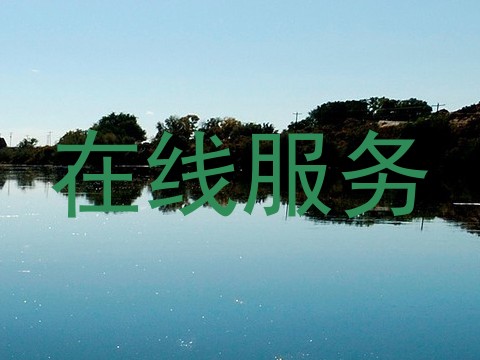 在线服务