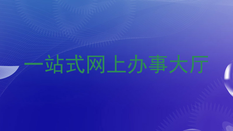 一站式网上办事大厅
