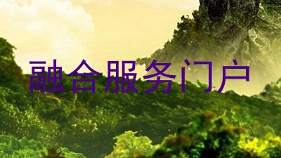 融合服务门户