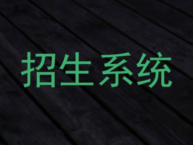 招生系统