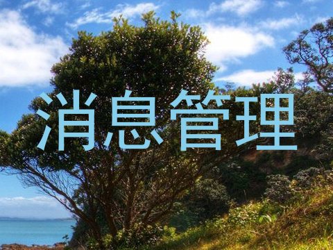 消息管理