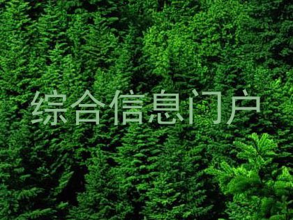 综合信息门户