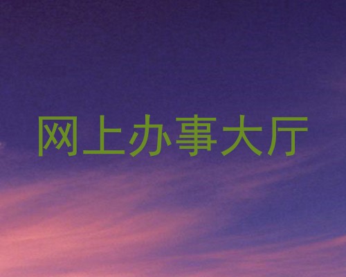 网上办事大厅