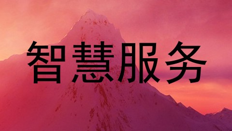 智慧服务