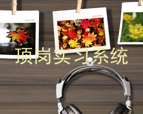 顶岗实习系统