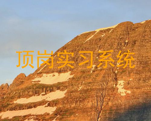 顶岗实习系统
