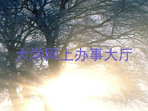 大学网上办事大厅