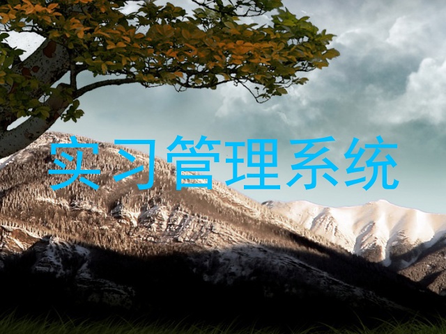 实习管理系统
