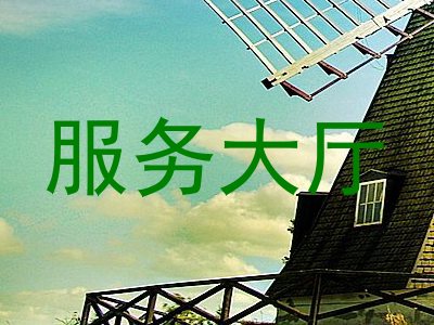 服务大厅
