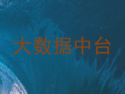 大数据中台