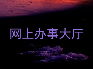 网上办事大厅