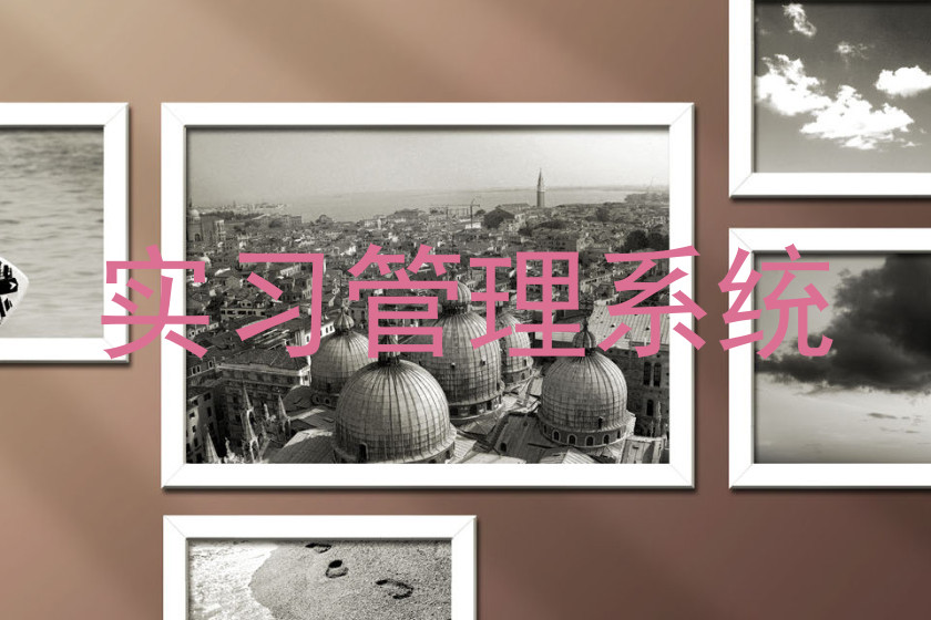 实习管理系统