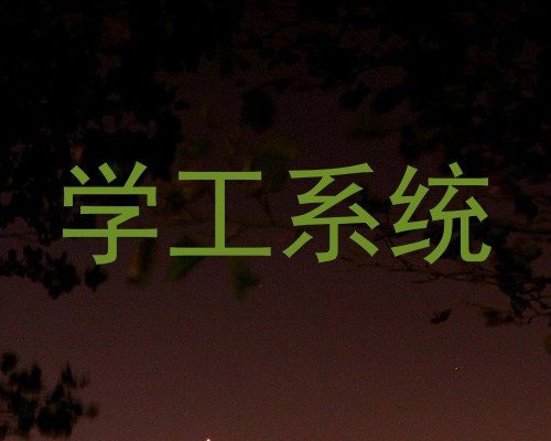 学工系统
