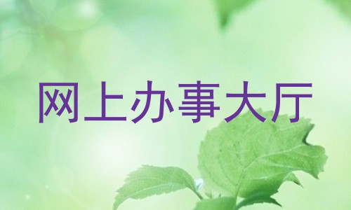 网上办事大厅