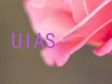 UIAS