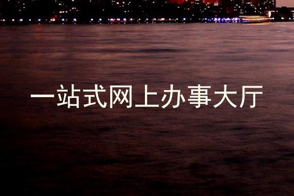 一站式网上办事大厅