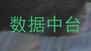 数据中台