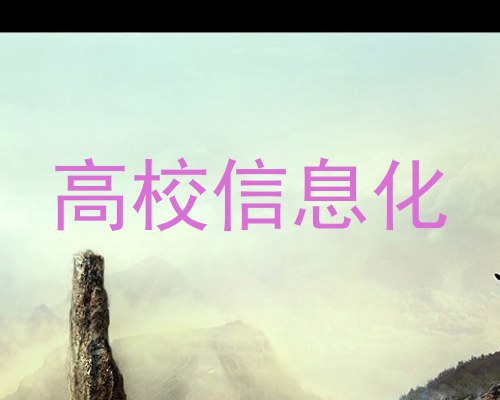 高校信息化