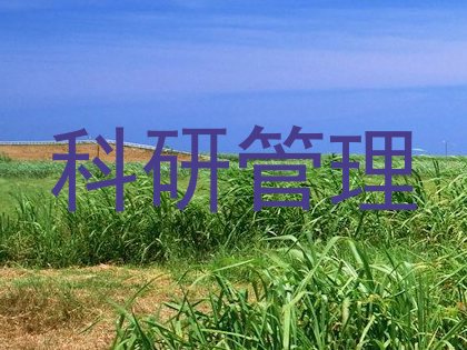 科研管理