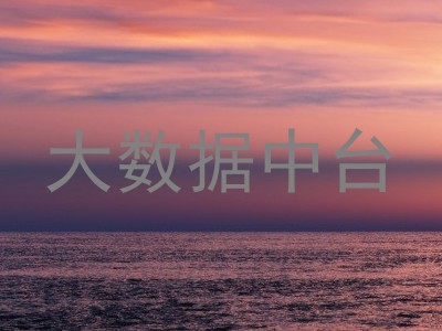 大数据中台