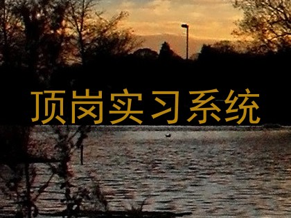 顶岗实习系统