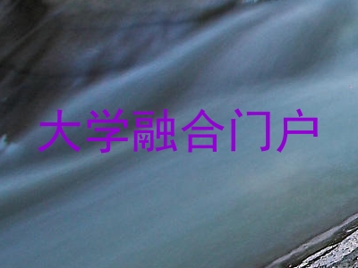 大学融合门户