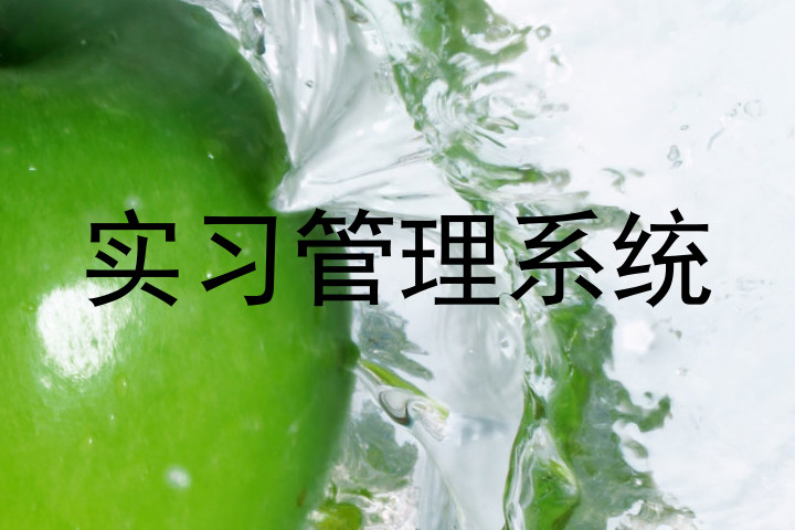 实习管理系统