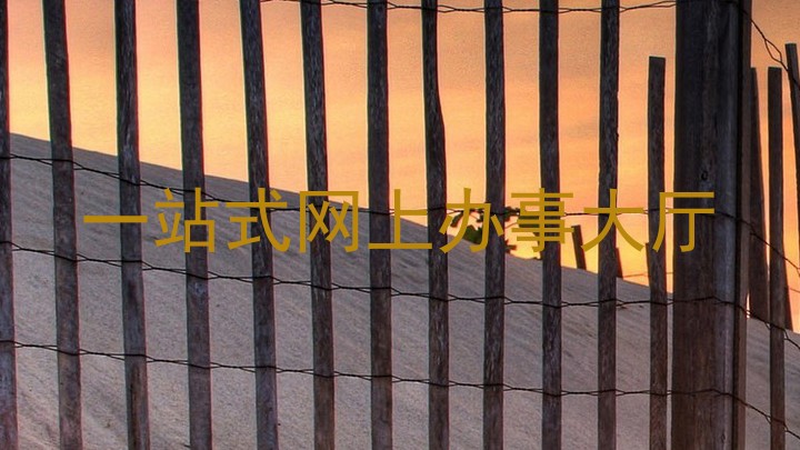 一站式网上办事大厅