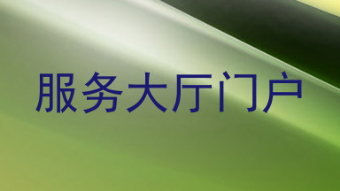 服务大厅门户