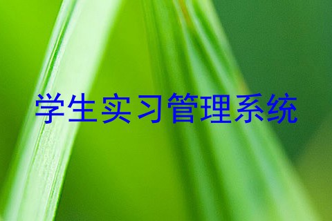 学生实习管理系统