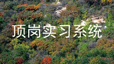 顶岗实习系统