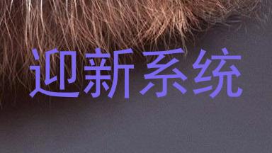 迎新系统