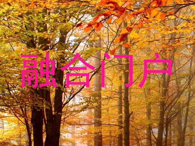 融合门户