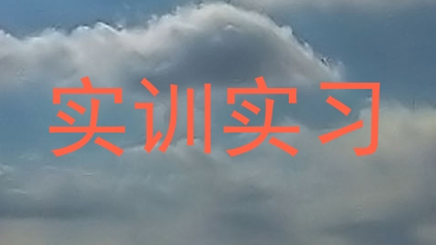 实训实习