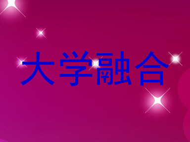 大学融合