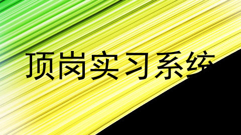 顶岗实习系统