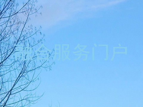 融合服务门户