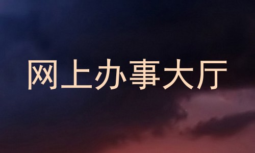 网上办事大厅