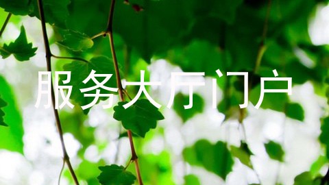 服务大厅门户