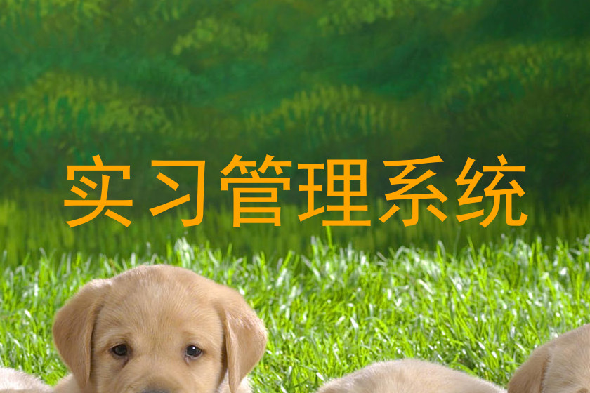 实习管理系统