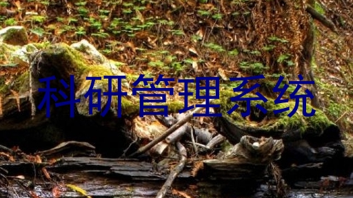 科研管理系统