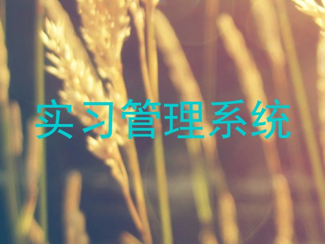 实习管理系统