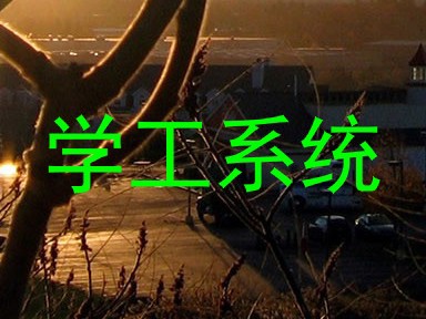 学工系统