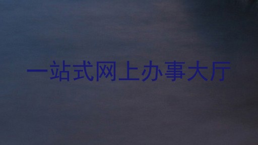 一站式网上办事大厅