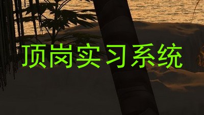 顶岗实习系统