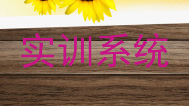 实训系统