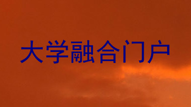 大学融合门户