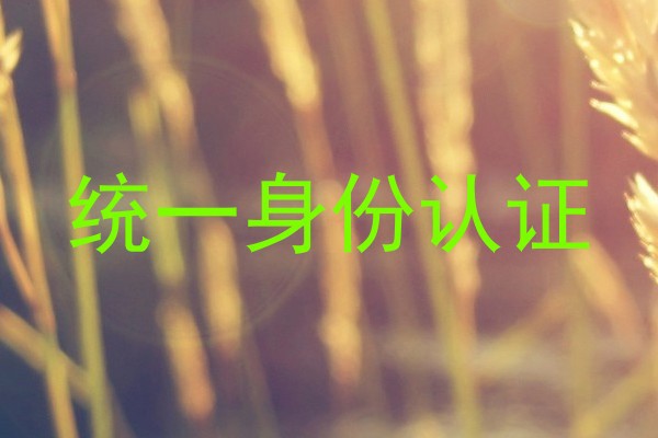 统一身份认证
