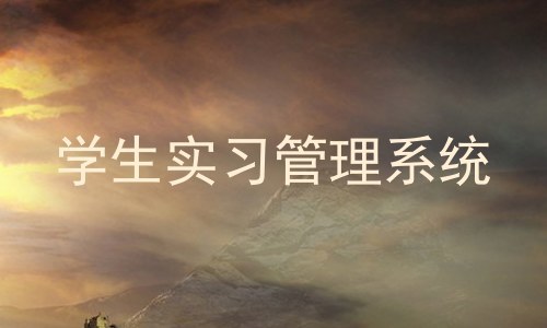 学生实习管理系统