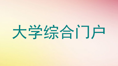 大学综合门户